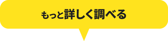 もっと詳しく調べる